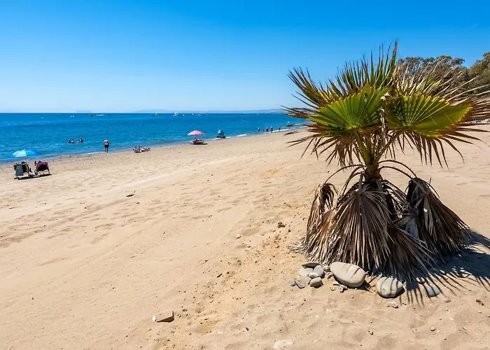 Flamenco Rose Estepona